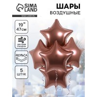 Воздушные шары фольгированные 19" «Каштан», 5 шт.
