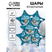 Воздушные шары фольгированные 19" «С днем рождения, пилот», 5 шт.
